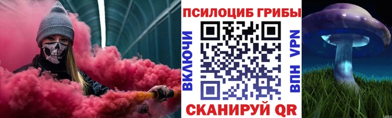 Псилоцибиновые грибы Magic Shrooms  ОМГ ОМГ ссылка  Тотьма  нарко площадка какой сайт  купить закладку 